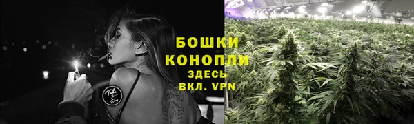 соль ск Ладушкин
