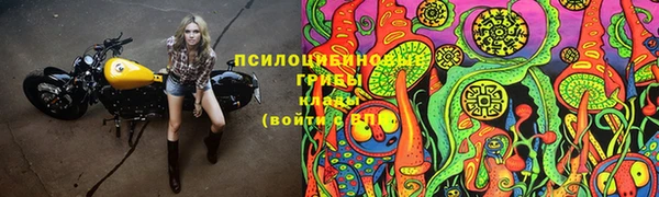 СК Лиски