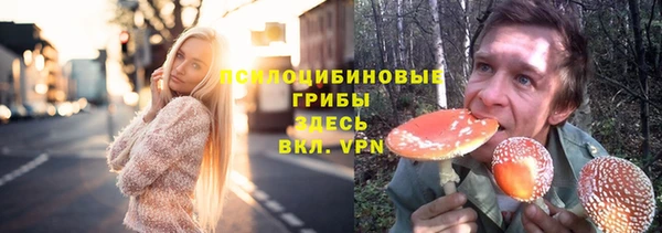 СК Лиски